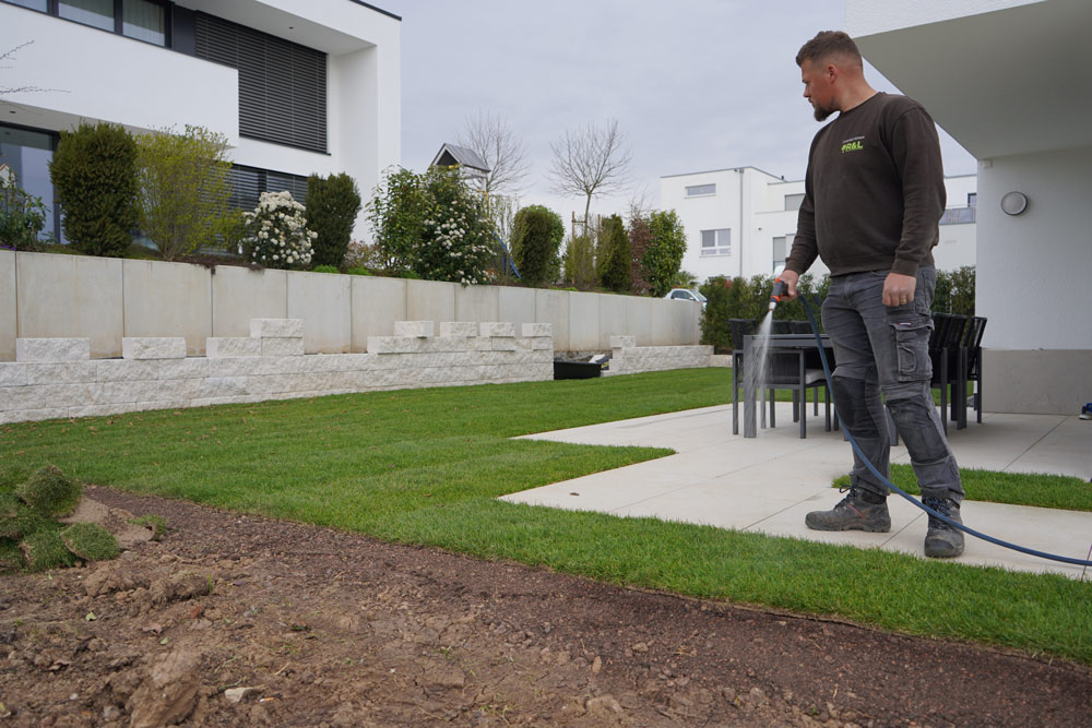 Zaunbau und Sichtschutz in Korb für Garten und Grundstück vom Fachbetrieb